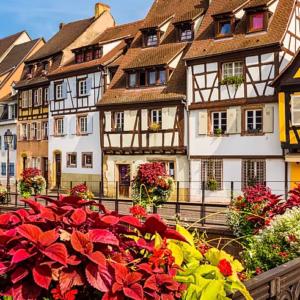 Alsace and Eastern France Cultural Tour – Wine, Villages & Alpine Wonders