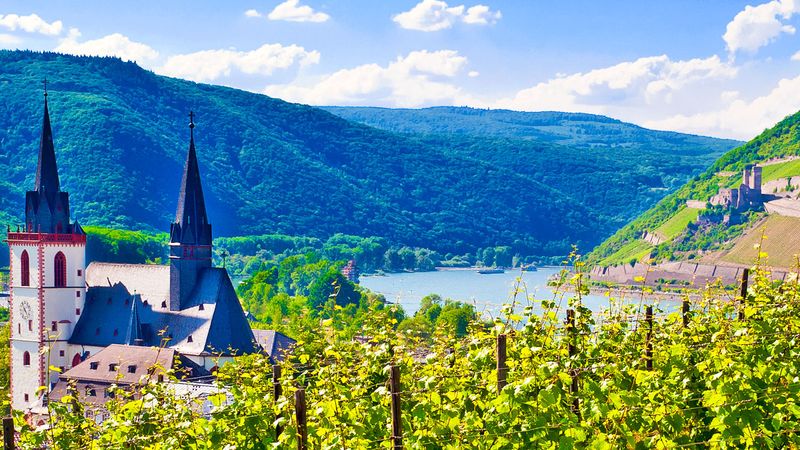 Hiking cruise through the Rhine Valley – History, traditions, and the spirit of the Rhineland (port-to-port cruise) – Cruise photo