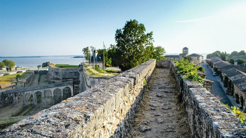 Oenological cruise: At the heart of a prestigious wine region (port-to-port cruise) – Cruise photo