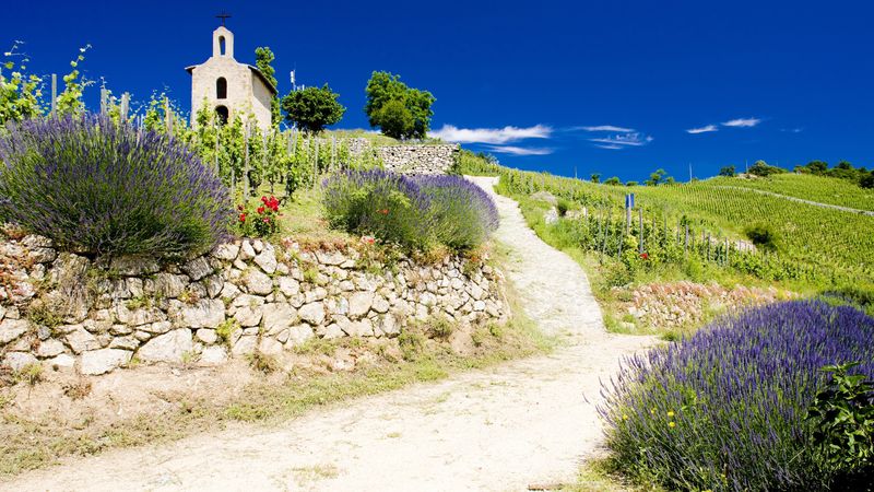 All the must-see sites on the Rhône between Lyon, Provence, and the Camargue with a dinner at Paul Bocuse’s Abbaye de Collonges Restaurant OFFERED (port-to-port cruise) – Cruise photo