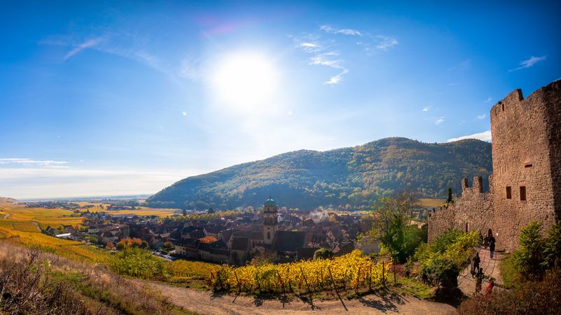 Gastronomy on the Rhine with Marc Haeberlin(2) (port-to-port cruise) – Cruise photo