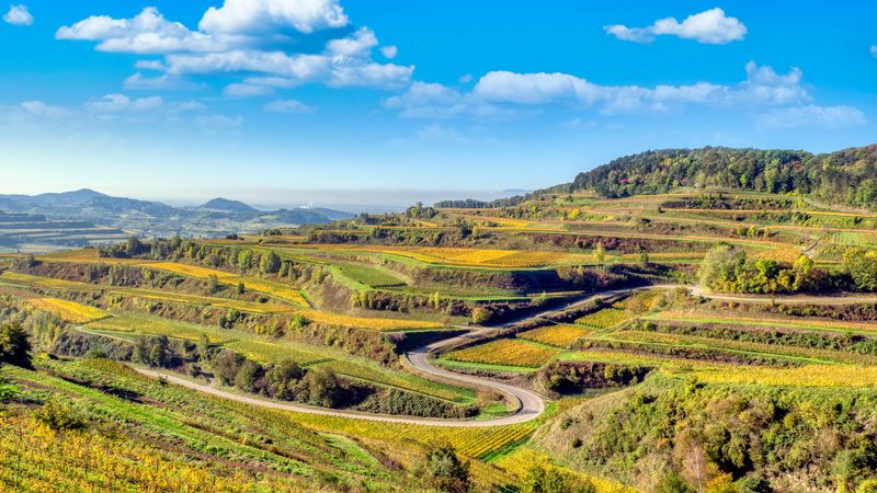 Autumn Splendor on the Rhine: Cruise & Hikes through the Rhineland (port-to-port cruise) – Cruise photo