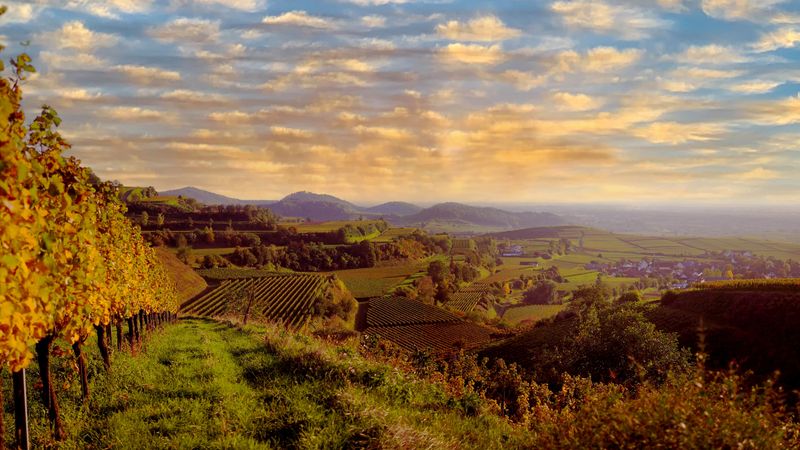 Autumn Splendor on the Rhine: Cruise & Hikes through the Rhineland (port-to-port cruise) – Cruise photo