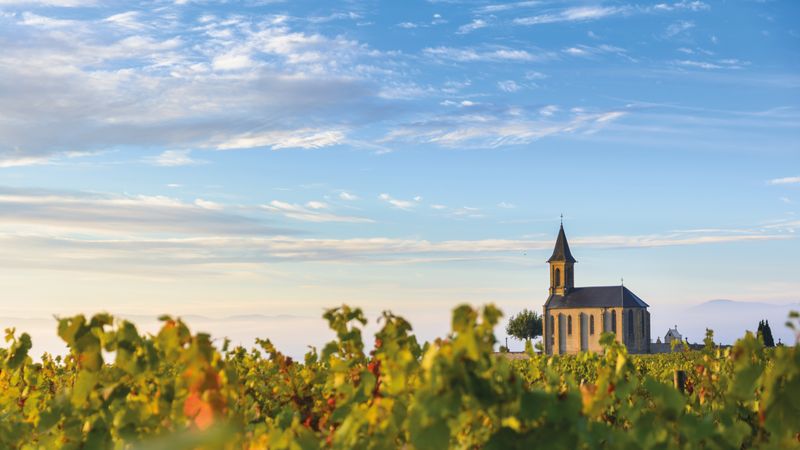 The Valleys of the Rhône and Saône: Gastronomy and vineyards (port-to-port cruise) – Cruise photo