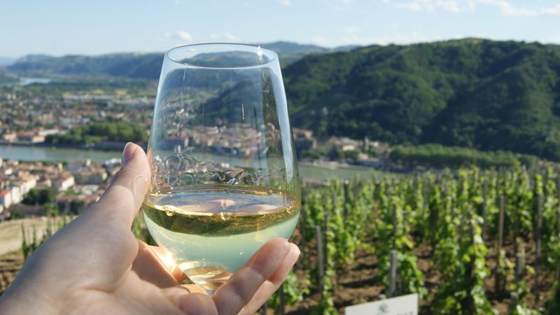 Discover the fabulous world of vineyards and wine, exceptional terroirs of the Rhône and Saône (port-to-port cruise) – Cruise photo