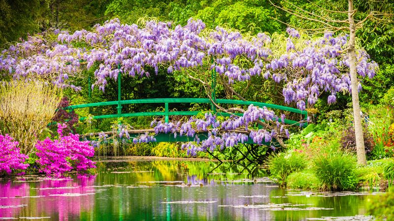 THE HISTORY OF FRANCE FROM PARIS TO NORMANDY Between heritage, landscapes, and Impressionist nuances (port-to-port cruise) – Cruise photo