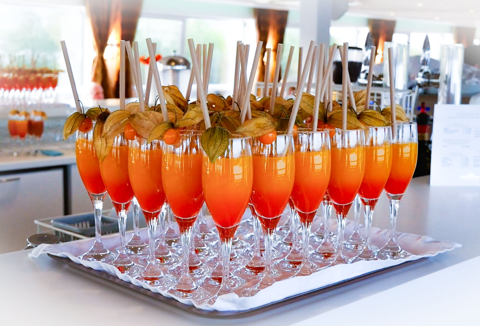 Hiking cruise through the Rhine Valley – History, traditions, and the spirit of the Rhineland (port-to-port cruise)