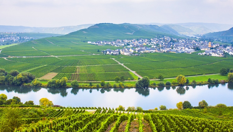The Valley of the romantic Rhine, the Moselle and the Main (port-to-port cruise) – Allemagne Moselle Vallee Croisieurope Slider Sfs Shutterstock