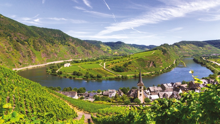 A Cruise Through Four Exquisite European Valleys (port-to-port cruise) – Allemagne Rhin Moselle Wsf S Shutterstock