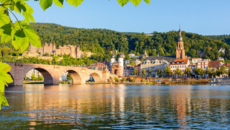 New Year on the Rhine: The romantic Rhine and its castles (port-to-port cruise) – Allemagne Rhin Rudesheim Croisieurope Vignette Cqj Sborisov