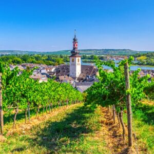 The romantic Rhine Valley and the rock of the Lorelei (port-to-port cruise) – Allemagne Rhin Rudesheim Csj Bo Hp 2020 Aliaksandr Antanovich