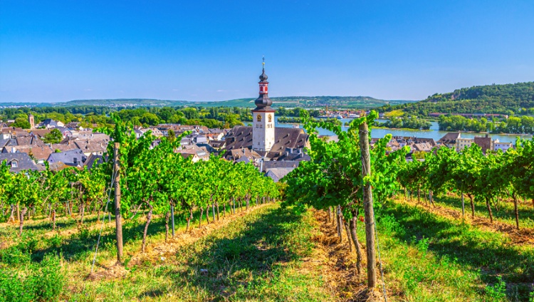 Cruise and Hike through the Rhine Valley Rhineland history, traditions, and ambiance (port-to-port cruise)