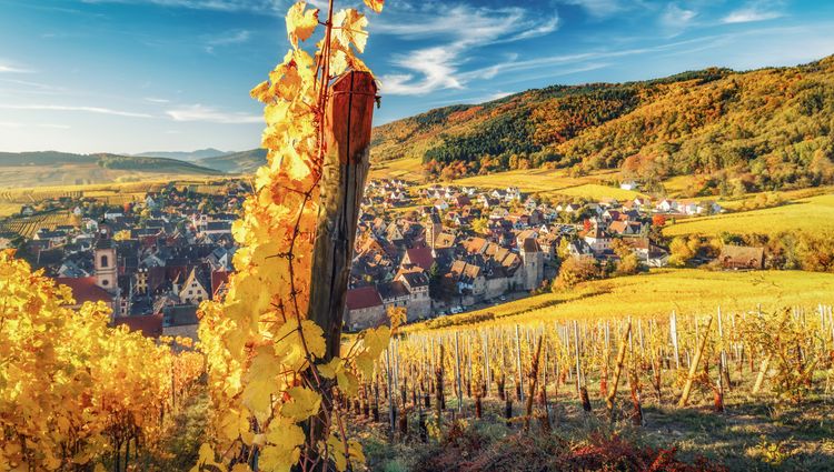 Alsace: land of tradition and gastronomy (port-to-port cruise) – Alsace Rhin Vigne Eguisheim Funny Studio Croisieurope Funny Studio Adobe Stock