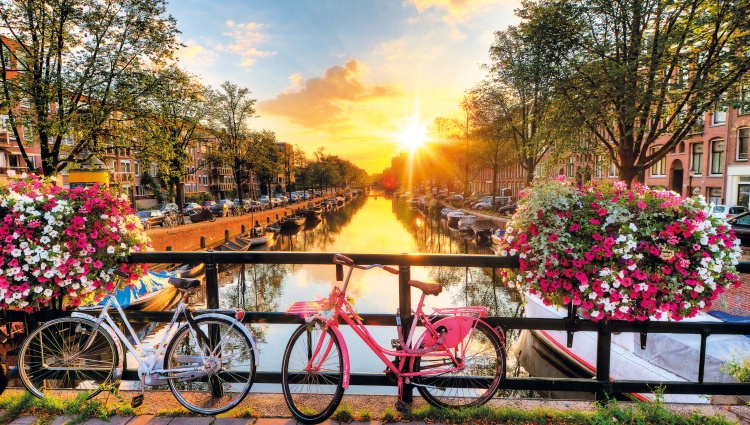 The Treasures of North (port-to-port cruise) – Amsterdam Dennis Van De Water Shutterstock