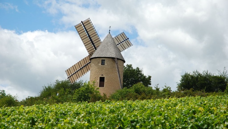 Fine Food and Wines on a Cruise through the Burgundy Region (port-to-port cruise) – Canaux Bourgogne Saone Santenay Moulin Sorine01 Croisieurope