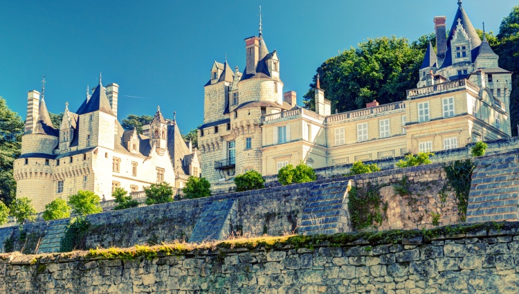 Fall Festival: The Wild, Majestic Loire River – Chateau Usse Loire Viacheslav Lopatin Viacheslav Lopatin