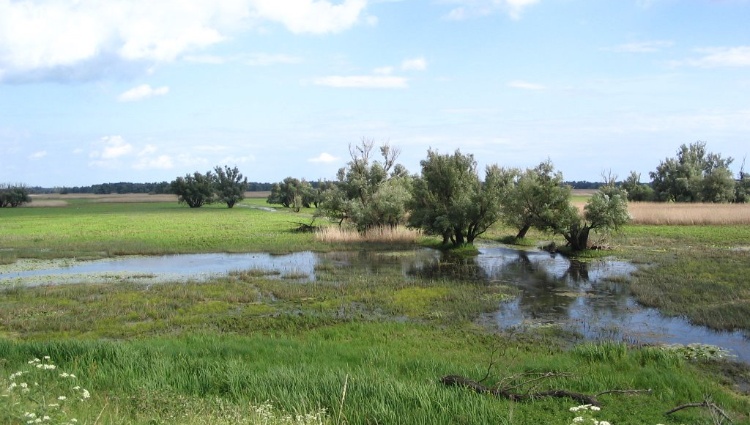 A journey between Central Europe and the Balkans (port-to-port cruise) – Croatie Danube Kopacki Rit Croisieurope