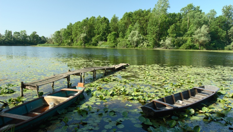 A journey between Central Europe and the Balkans – Lake Balaton, the authentic Sava and the majestic Danube (port-to-port cruise) – Croatie Danube Parc Naturel Lonjsko Polje Josefbosak Josef Bosak