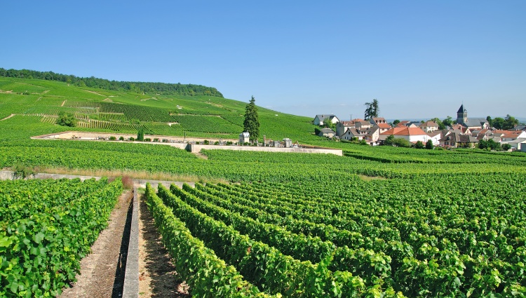 France at its Finest from the Champagne Region to Paris (port-to-port cruise) – Epernay Peter Eckert Peter Eckert
