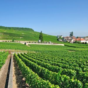 France at its Finest from the Champagne Region to Paris (port-to-port cruise) – Epernay Peter Eckert Peter Eckert