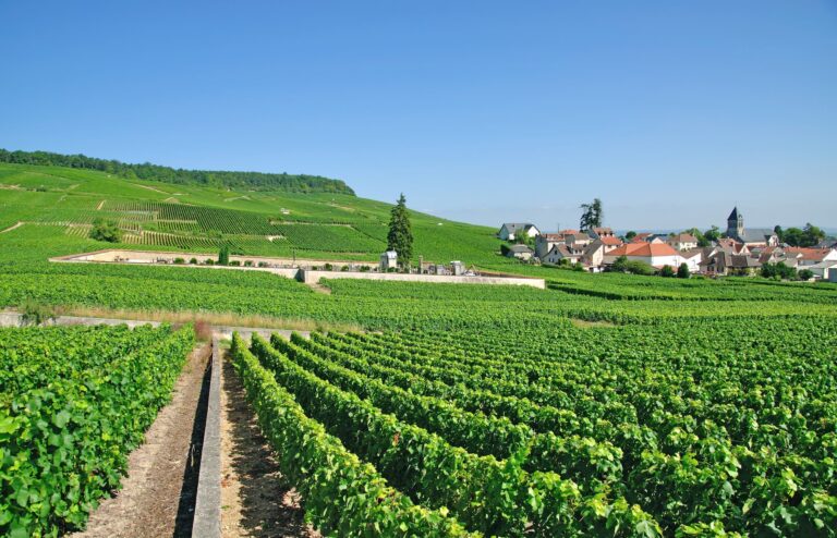 France at its Finest from the Champagne Region to Paris (port-to-port cruise)