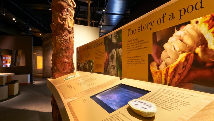 All the must-see sites on the Rhône between Lyon, Provence, and the Camargue with a dinner at Paul Bocuse’s Abbaye de Collonges Restaurant OFFERED (port-to-port cruise) – Excursion Musee Chocolat Valrhona03 Laurent Vu Laurent Vu