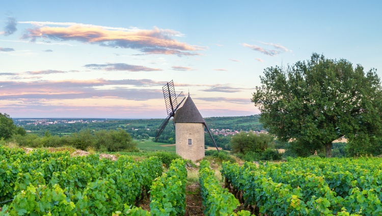 Fine Food and Wines on a Cruise through the Burgundy Region (port-to-port cruise) – France Canal Bourgogne Santenay Croisieurope Slider Dsl Shutterstock