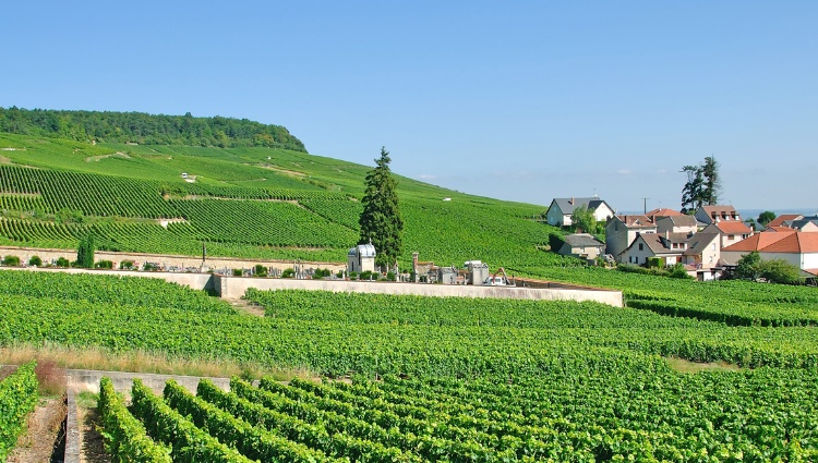 France at its Finest from the Champagne Region to Paris (port-to-port cruise) – France Canal Marne Epernay Croisieurope Slider Ecp Peter Eckert