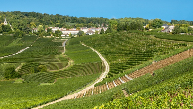 France at its Finest from Paris to the Champagne Region (port-to-port cruise) – France Canal Marne Hautvillers Croisieurope Slider Pce Shutterstock