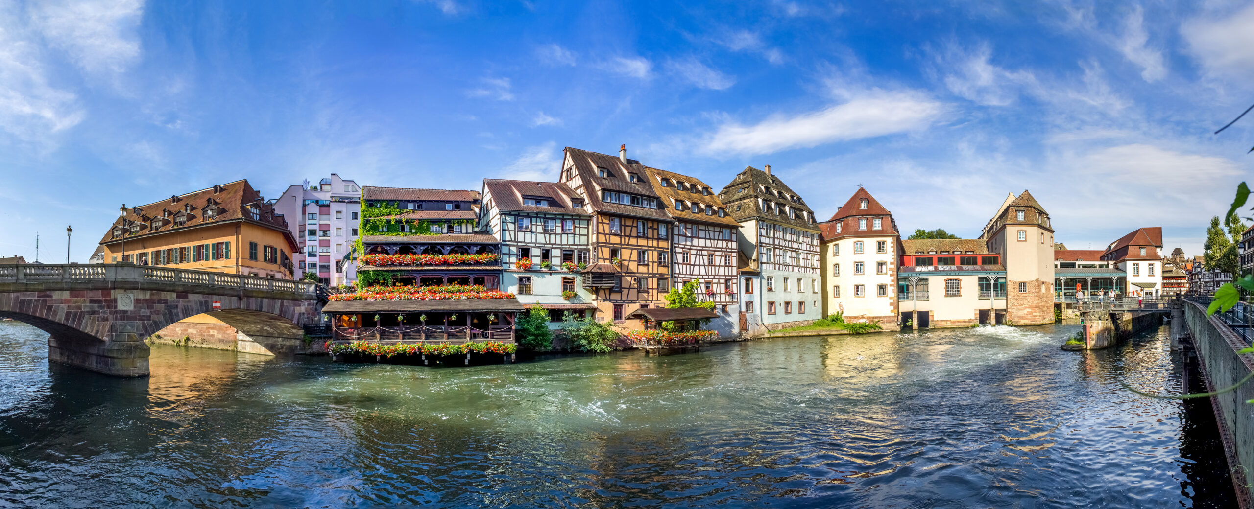 Cruise Festival: Legends, Festivities, and Delicacies on the Romantic Rhine River