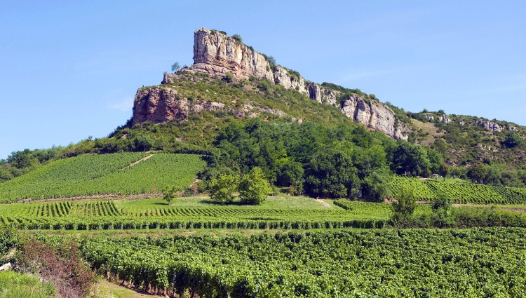 The Valleys of the Rhône and Saône: Gastronomy and vineyards (port-to-port cruise) – France Rhone Saone Macon Roche De Solutre Vignoble Alain Doire