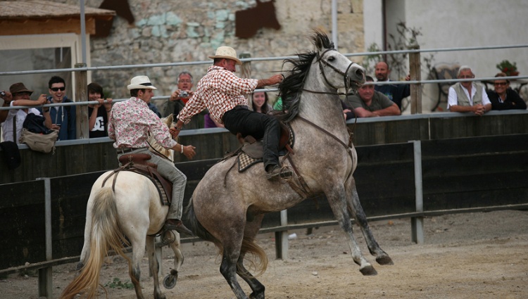 A Taste of the Mediterranean: A Cruise through the Heart of Provence and the Camargue Region (port-to-port cruise) – France Rhone Saone Rhone Manade Jeux De Bouquet Croisieurope