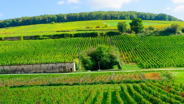 The Burgundy & Petite Saône Canal (port-to-port cruise) – France Saone Canaux Bourgogne Croisieurope Slider Dps Shutterstock
