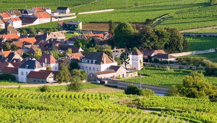 Fine Food and Wines on a Cruise through the Burgundy Region (port-to-port cruise) – France Saone Canaux Vignoble Croisieurope Slider Sld Shutterstock
