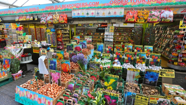 From Basel to Amsterdam : The Treasures of the Celebrated Rhine River (port-to-port cruise) – Hollande Rhin Amsterdam Bulbe Tulipe Croisieurope