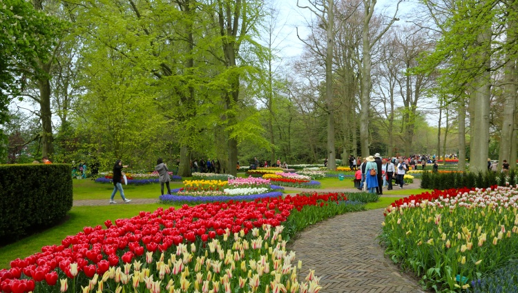 Cruise on the IJsselmeer, one of Holland’s treasures (port-to-port cruise) – Hollande Rhin Amsterdam Parc Keukenhof03 Haubtmann
