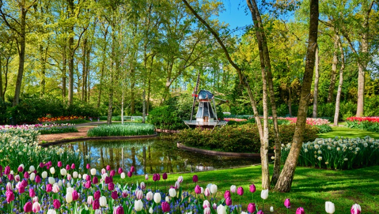 From Amsterdam to the Iron Gates, experience it all on a European river cruise (port-to-port cruise) – Hollande Rhin Keukenhof Ast Hp Bo 0419 Dmitry Rukhlenko