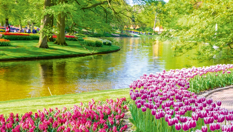 Springtime in Holland (port-to-port cruise) – Hollande Rhin Parc Keukenhof Croisieurope Slider Anv Shutterstock