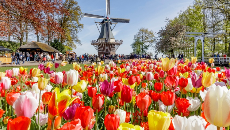 The Magic of the Canals: From Amsterdam to Brussels (port-to-port cruise) – Experience the authenticity of the Netherlands and Belgium – Hollande Rhin Parc Keukenhof Moulin Tulipes Laurens Lindhout