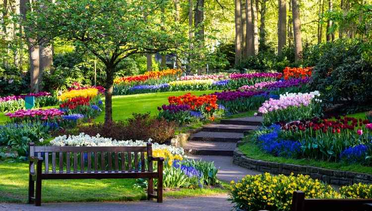 The Treasures of North (port-to-port cruise) – Hollande Rhin Parc Keukenhof Raisa Suprun Shutterstock