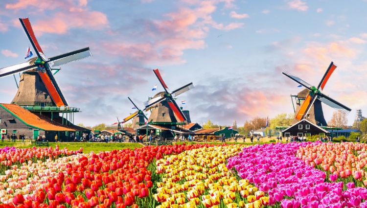 Northern Gems – A European River Cruise from Belgium to Germany. (port-to-port cruise) – Hollande Zaanse Schans Slider Hp 1018 Olena Z