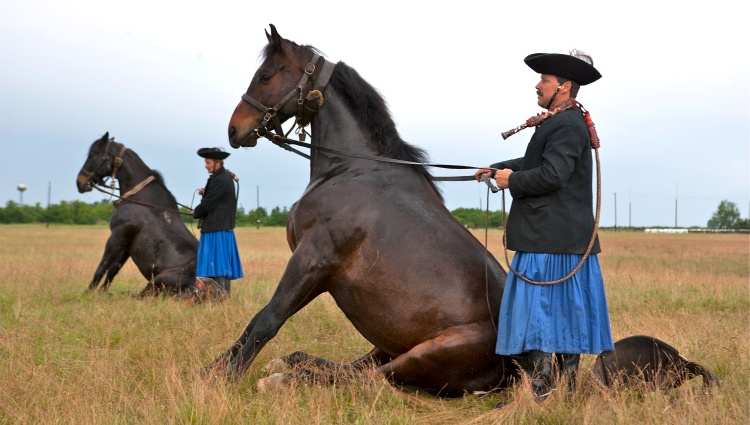 From the Danube to the Tisza, through the Real Hungary (port-to-port cruise) – Hongrie Danube Parc National De Hortobagy Frantisek Zvardon