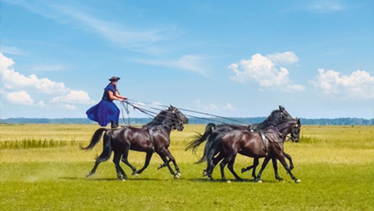 Hiking cruises in the former Austro-Hungarian Empire (port-to-port cruise) – Hongrie Danube Puszta Croisieurope Vignette Pav Chpp Shutterstock