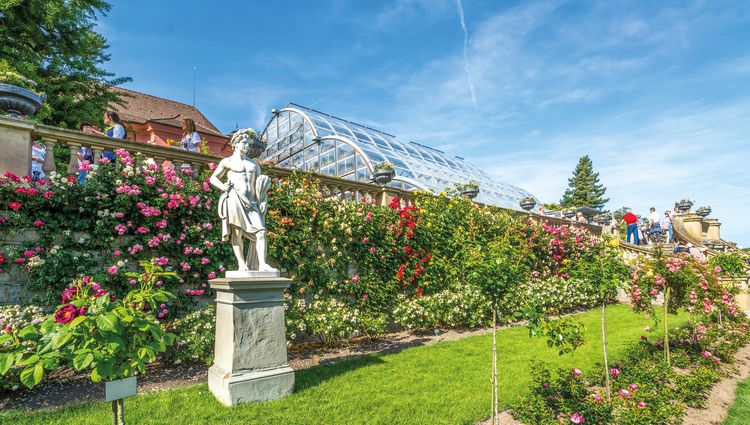 An exceptional cruise through the most beautiful regions of three different countries (port-to-port cruise) – Ile Mainau Jardin Botanique Allemagne Sh379252486 Lamiafotografia Shutterstock