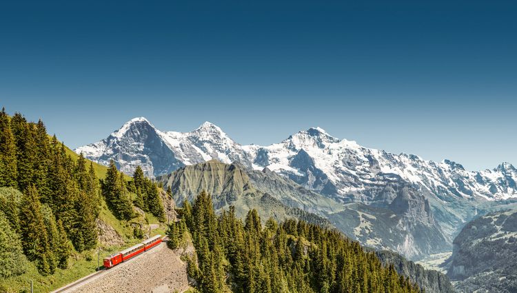 From the Heart of Alsace to Summits in the Swiss Alps (port-to-port cruise) – Jungfraubahn Sapins Montagnes Enneigees Jungfraubahnen 2019