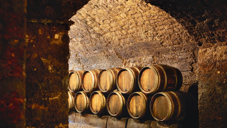 4 Rivers: The Neckar, Romantic Rhine, Moselle, and Sarre Valleys – Luxembourg Moselle Remich Cave Chapuis Photocom