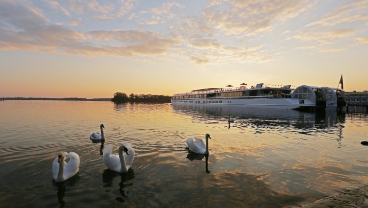 From Prague to Berlin: Cruise on the Vltava and Elbe Rivers (port-to-port cruise) – Ms Elbe Princesse Elbe Profil04 Croisieurope O Asmussen
