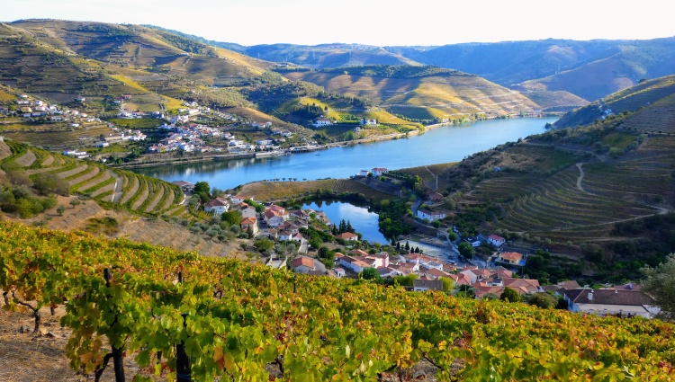 Porto, the Douro valley (Portugal) and Salamanca (Spain) 	(port-to-port cruise) – Portugal Douro Vallee Ana Couto Shutterstock