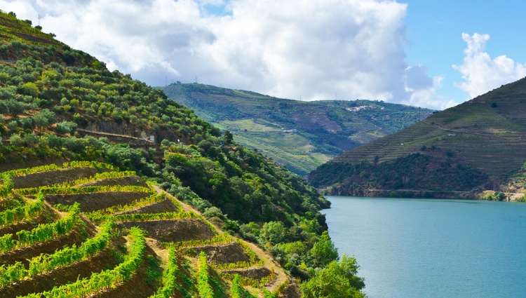 Cruise and Hikes in The Douro Valley, A Nature Lover’s Dream (port-to-port cruise) – Portugal Douro Vallee Croisieurope Slider Pofch Ete Shutterstock