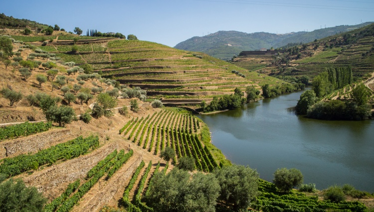 Porto and the Douro Valley (port-to-port cruise) – Portugal Douro Vallee Paysage02 Croisieurope